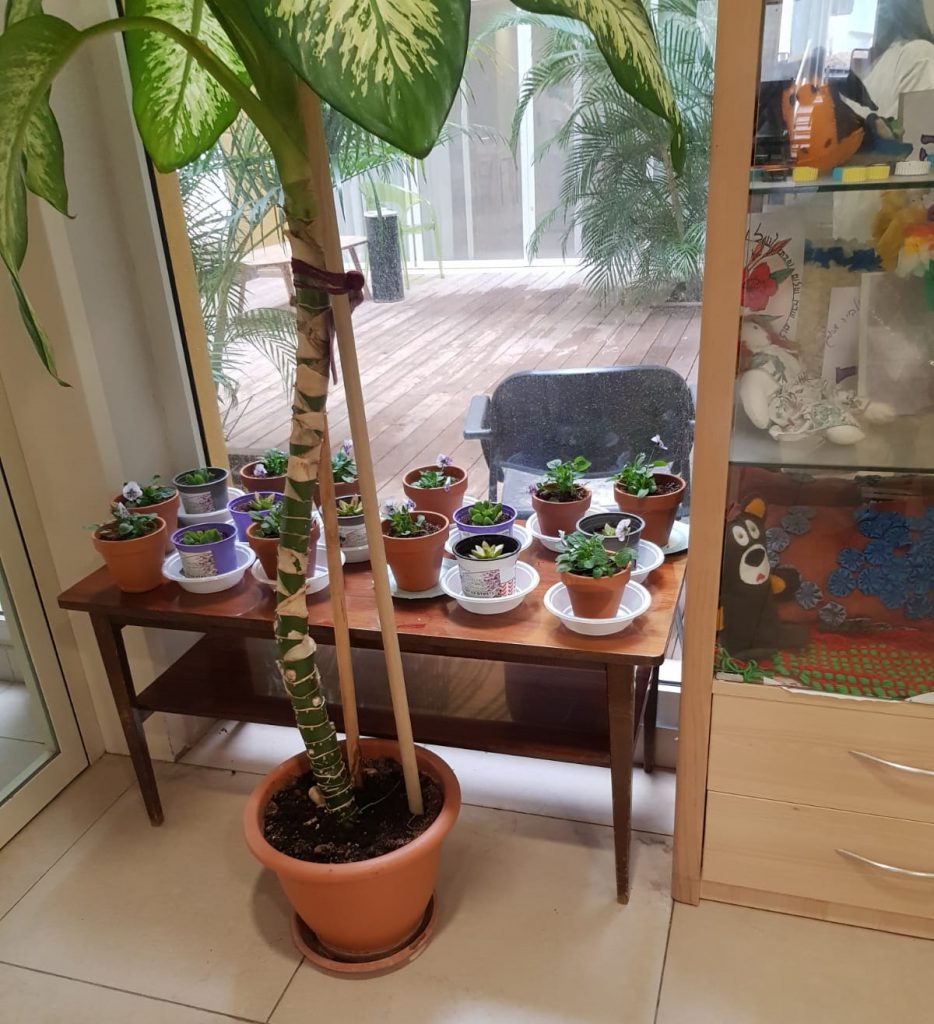 ט"ו בשבט בנווה אורנים